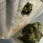 19-letni mężczyzna zatrzymany na Sobięcinie z narkotykami