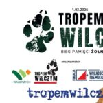 Zmiana organizacji ruchu 1 marca