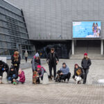 Osiemdziesiąt kilogramów dobra. Spacery na Cztery Łapy w Aqua Zdroju.